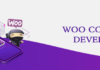 woocommerce-development-service
