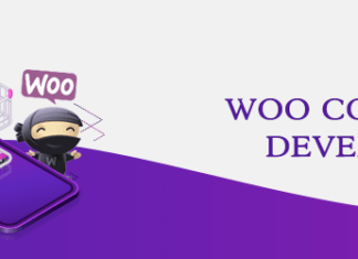 woocommerce-development-service