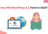 How Will WordPress 6.1 Trend in 2023