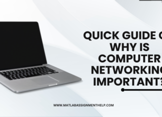 Quick Guide on Why is Computer Networking Important