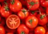 The health benefits of tomatoes are numerous