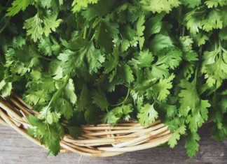 Here Are Some Of The Health Benefits Of Coriander