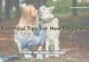 10 Essential Tips For New Dog Owners