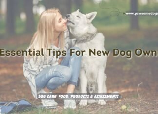 10 Essential Tips For New Dog Owners
