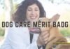 Dog Care Merit Badg
