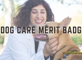 Dog Care Merit Badg xyz