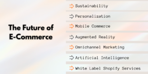 The Future of E-Commerce - Shopify Services