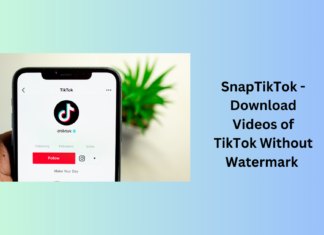 snaptiktok download videos of tiktok without watermark
