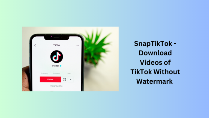 snaptiktok download videos of tiktok without watermark