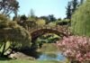 Botanical Gardens Los Angeles