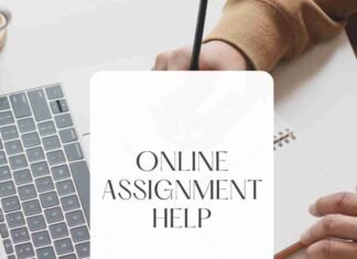 online assignment help