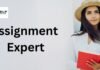assignment-expert