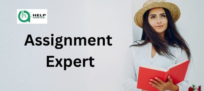 assignment-expert