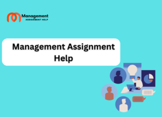 Management assignment help