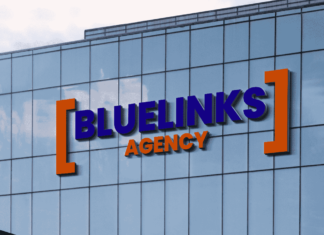 Bluelinks Agency A New Venture In Digital Marketing Industry