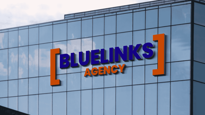 Bluelinks Agency A New Venture In Digital Marketing Industry