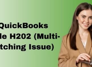 QUICKBOOKS ERROR MESSAGE H202