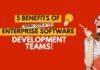 Enterprise Software Development Team