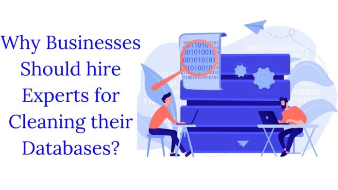 Why Businesses Should hire Experts for Cleaning their Databases