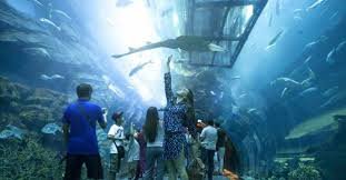 Dubai Aquarium & Underwater Zoo